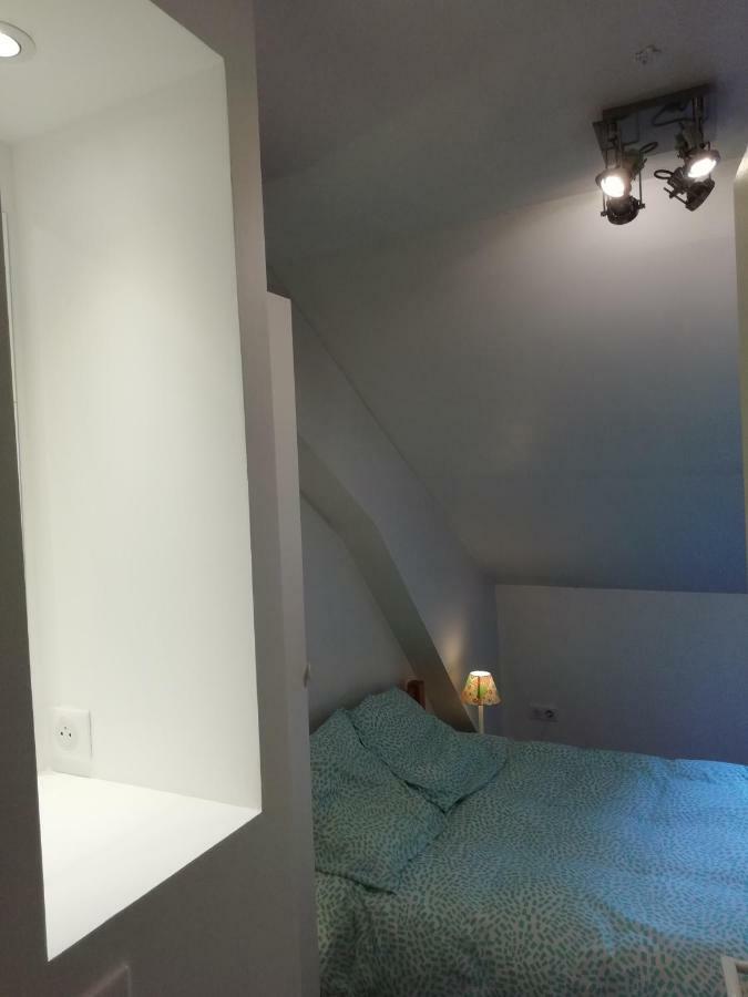 Au Pied Du Telecabine, T3 50M2 Pour 8 Personnes. Cauterets Eksteriør billede